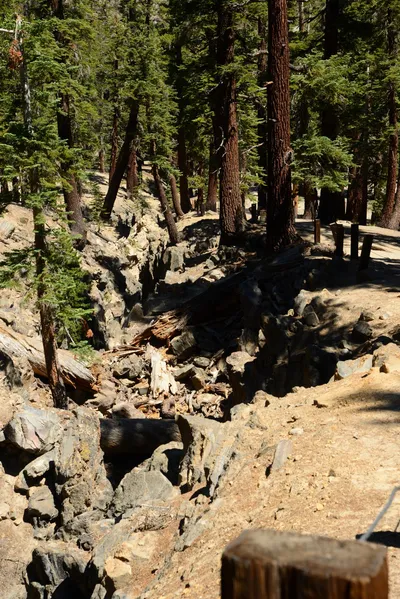 DSC_9975 (Large).JPG